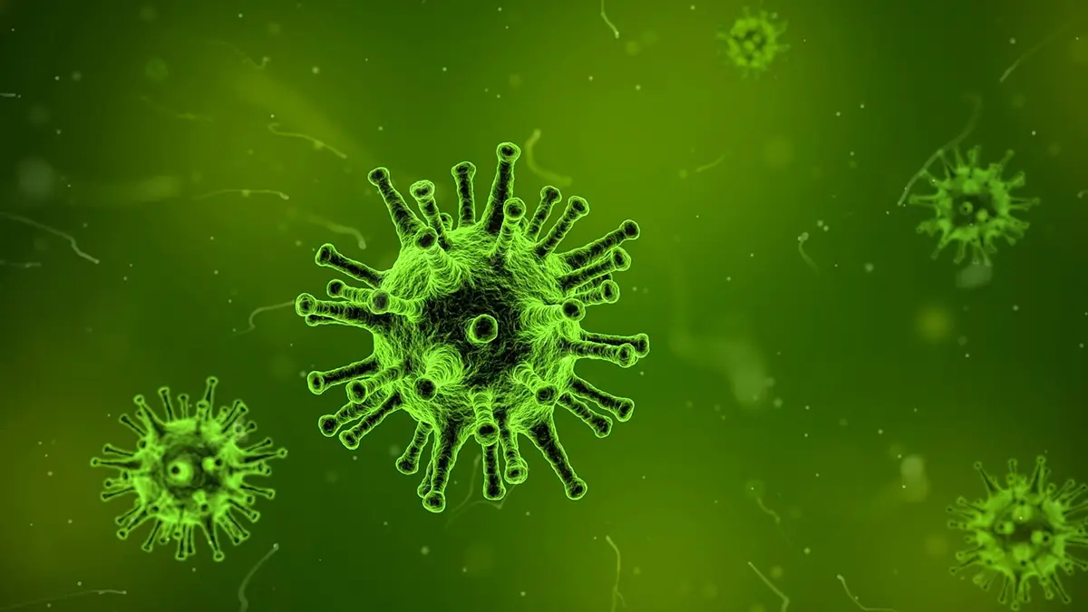 flu
